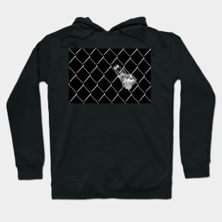 When The Water Is Gone Hoodie